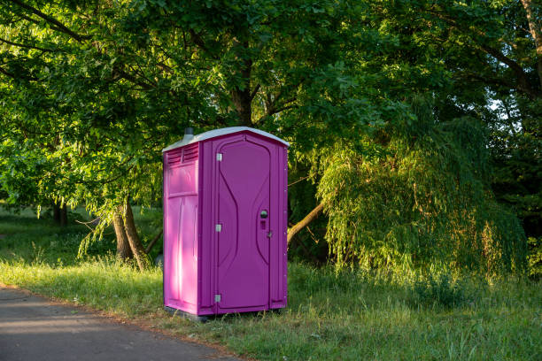 Best Affordable portable toilet rental  in Lyndhurst, VA